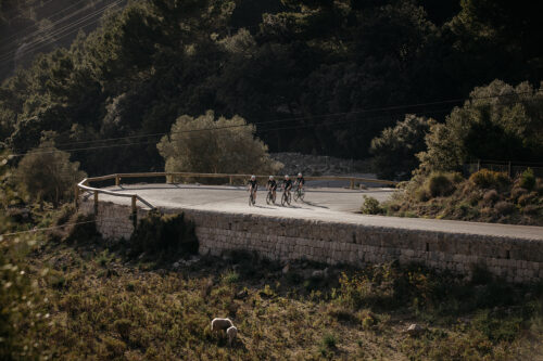 Radfritzen für Fritz Kola auf Mallorca, Rennrad, Sportfotografie