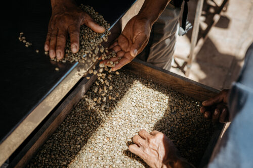 Honduras für Tatico Kaffee, Reportagefotografie