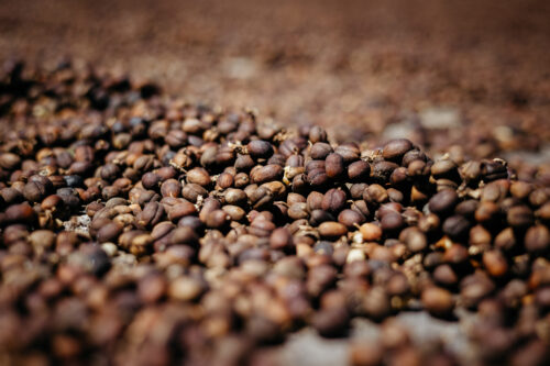 Honduras für Tatico Kaffee, Reportagefotografie