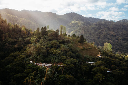 Honduras für Tatico Kaffee, Reportagefotografie