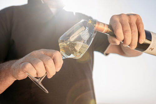 Weingut Leitz für Aldi Süd, Unternehmsfotograf, Businessfotografie