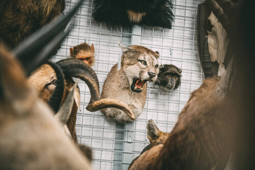 Zentralmagazin, Speicherstadt Coerde, LWL-Museum für Naturkunde