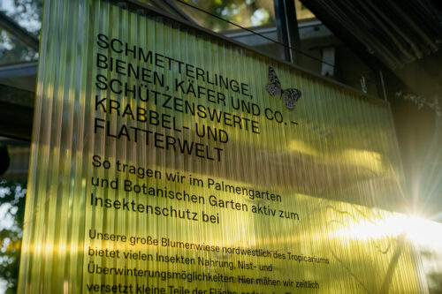 Palmengarten Frankfurt für Bok+ Gärtner, Ausstellungsfotografie, Interieurfotograf