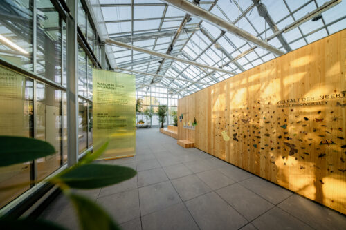 Palmengarten Frankfurt für Bok+ Gärtner, Ausstellungsfotografie, Interieurfotograf