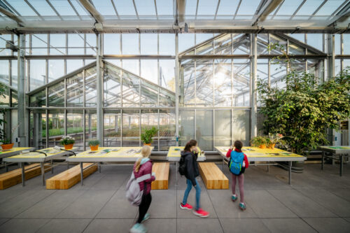 Palmengarten Frankfurt für Bok+ Gärtner, Ausstellungsfotografie, Interieurfotograf