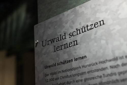 Keltenprak Nonnweiler für Bok+ Gärtner, Ausstellungsfotografie, Interieurfotograf